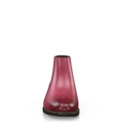 Bottines Modernes 1889