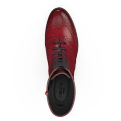 Bottines Brogue 5570 -Stripped Boutique 3970 0 top