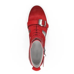 Rangers 7154 -Stripped Boutique 5554 0 top 2